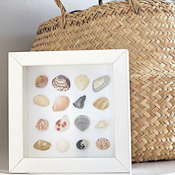 Framed seashell art - Picture 1 of 8